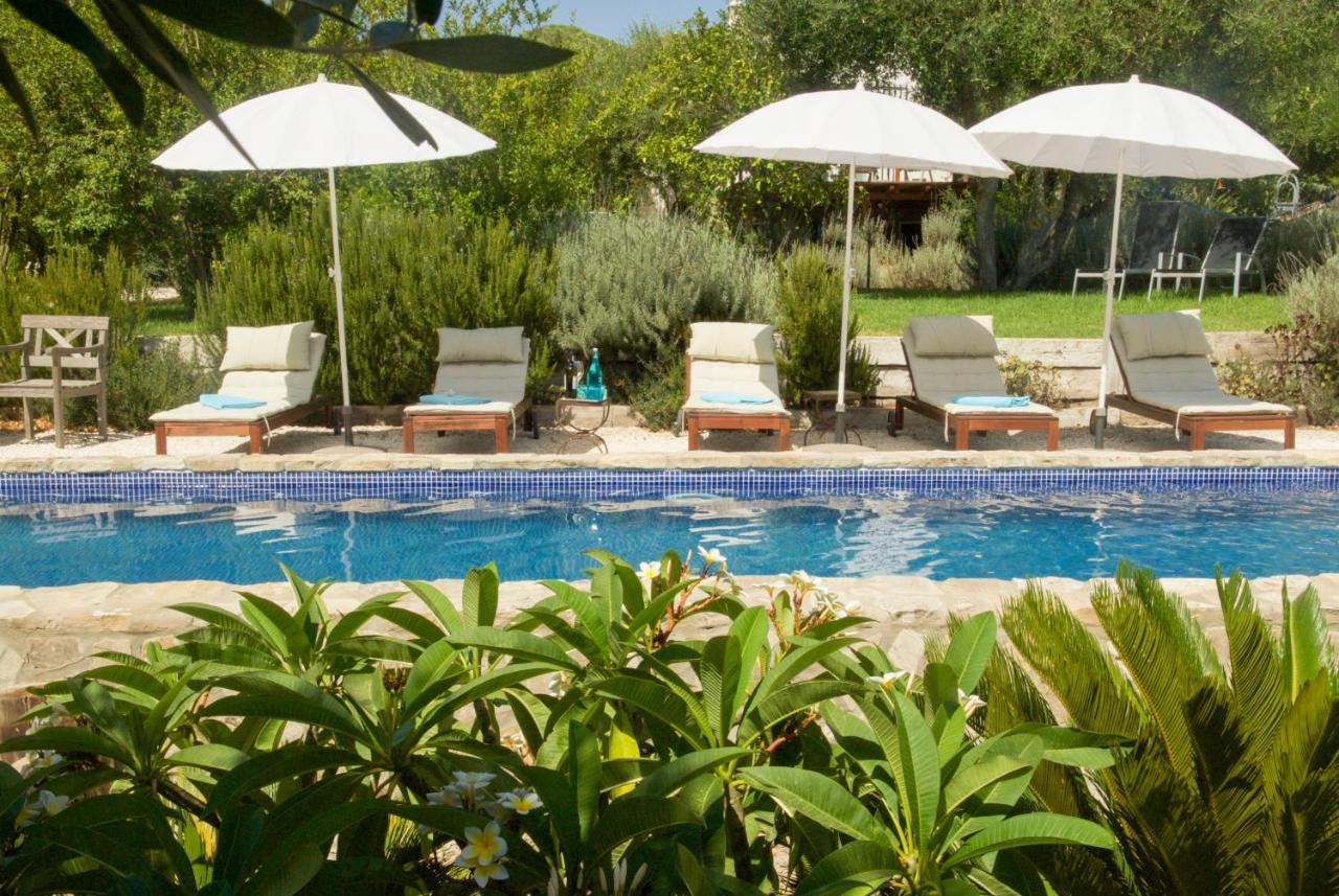 Finca Meerlust - Las Ballenas Los Canos De Meca Luaran gambar