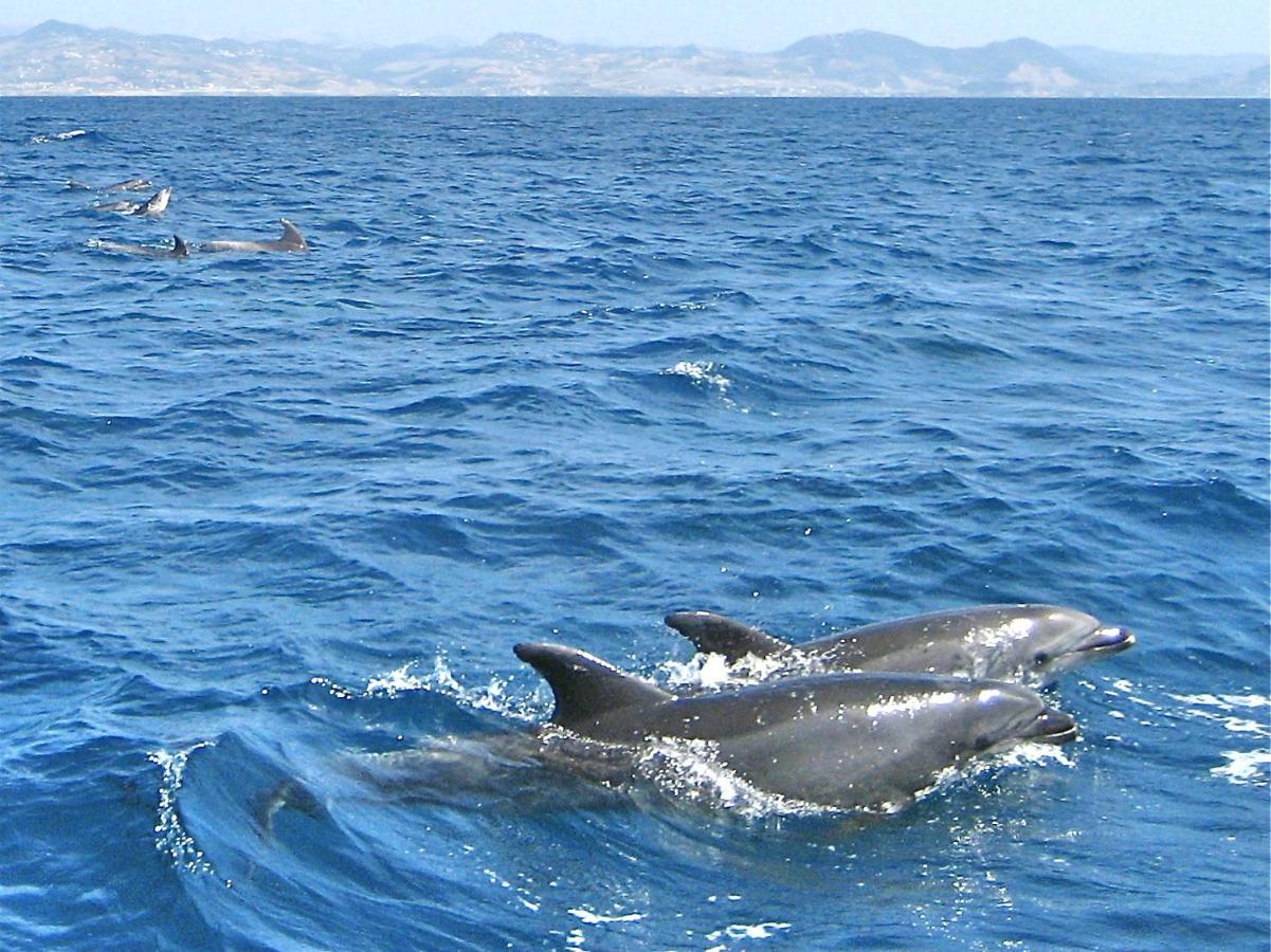 Finca Meerlust - Las Ballenas Los Canos De Meca Luaran gambar